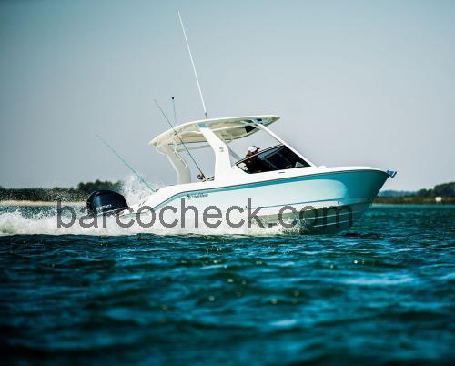 Edgewater 230CX ficha tecnica 